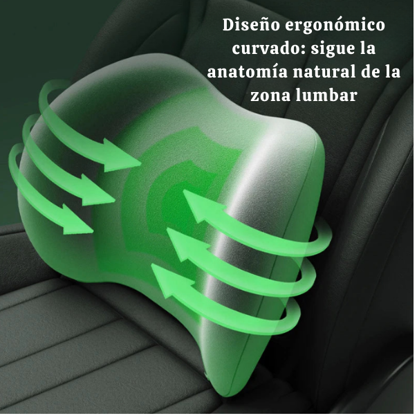 ErgoDream - Comodidad y soporte lumbar para una noche de sueño perfecta