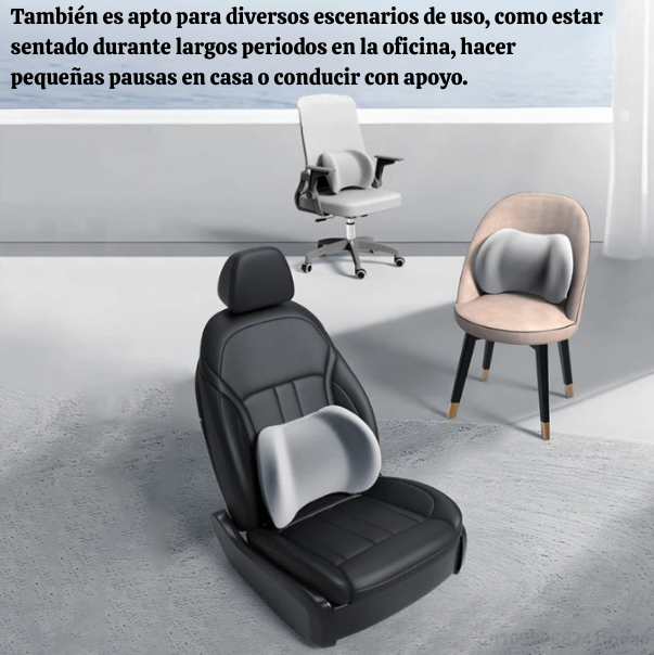 ErgoDream - Comodidad y soporte lumbar para una noche de sueño perfecta